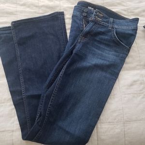 Hudson flare Jeans